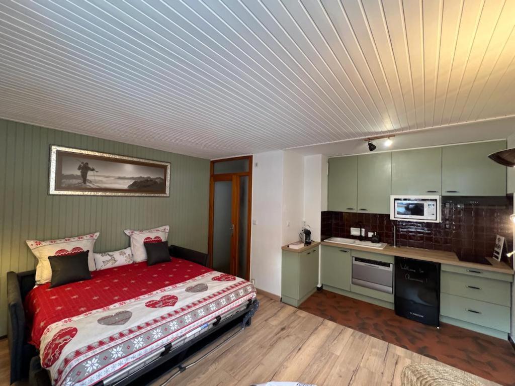 Studio Dent Du Caiman, Chamonix Hyper Centre, Parking, Vue Mont Blanc Экстерьер фото